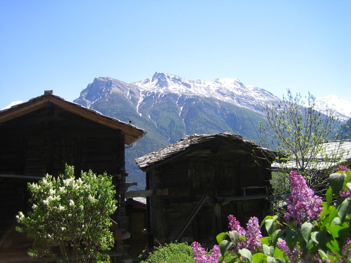 Ferienwohnung Sonnenfeld Blatten bei Naters Exterior foto